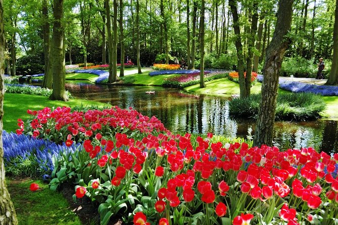 Day Trip to Keukenhof Gardens from Amsterdam with Tour Guide - What to wear and bring for a comfortable Keukenhof day