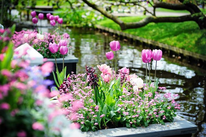 Day Trip to Keukenhof Gardens from Amsterdam with Tour Guide - The meeting point challenge: how to avoid a stress spiral