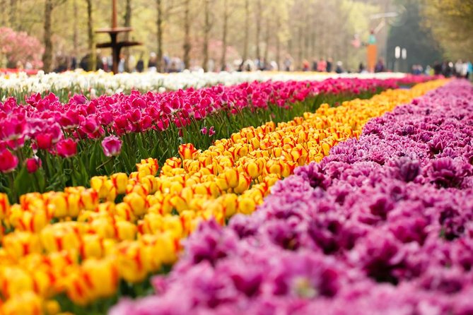 Day Trip to Keukenhof Gardens from Amsterdam with Tour Guide - Getting there from the city: 9:00 am start, central meet, easy return