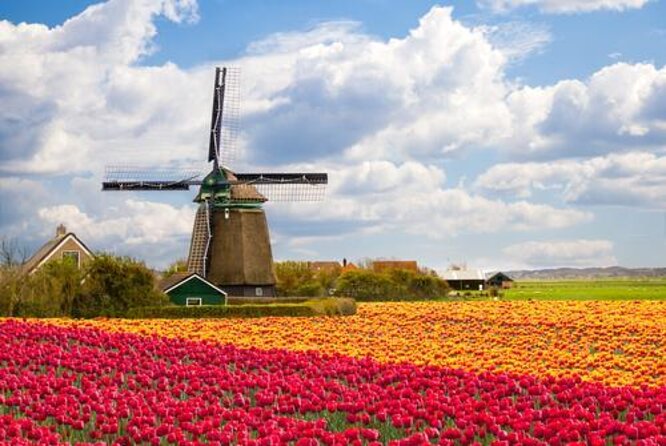 Day Trip to Zaanse Schans, Edam, Volendam and Marken from Amsterdam - Edam on cobbles: cheese market square and canal-side strolling
