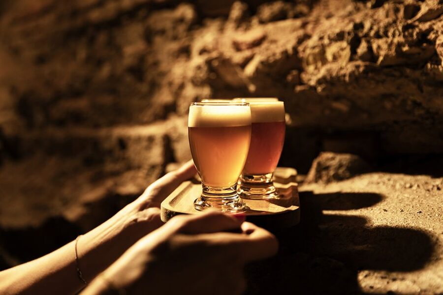 Delft: Craft Beer Tasting in Medieval Brewery with Snacks - Beer Plus Pretzels, the Real Pairing Story