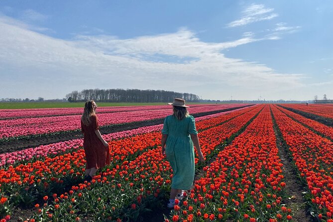 Discover Holland’s Beautiful Tulip Fields with an Expert Guide - Museummolen Schermer: A Working Windmill With Real Mechanics