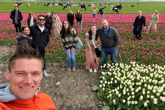 Discover Holland’s Beautiful Tulip Fields with an Expert Guide - Price and Value for a 6 Hour Amsterdam Day