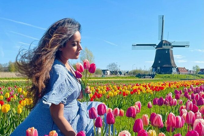 Discover Holland’s Beautiful Tulip Fields with an Expert Guide - From Beemster Polder to Your First Tulip Field Stop