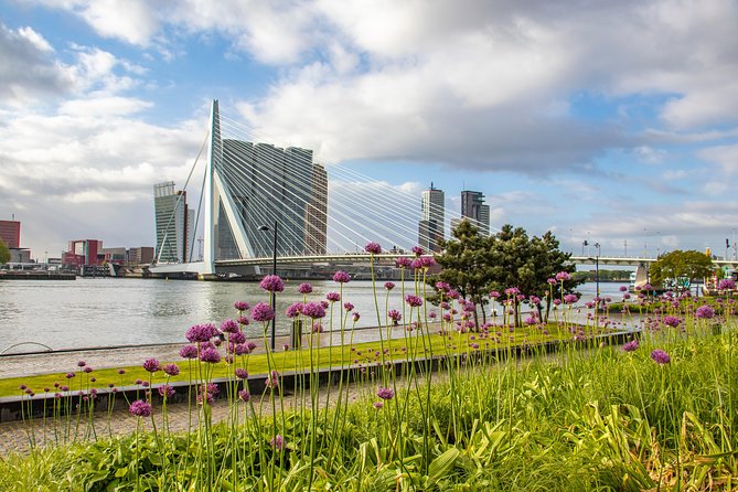 Discover Rotterdam’s most Photogenic Spots with a Local - Quick hits before you go