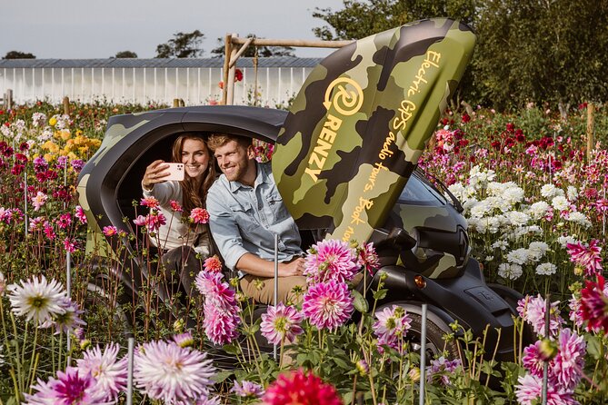Drive it yourself electric Dune & Summer Flower GPS audio tour - Audio guidance in English (and Dutch or German)
