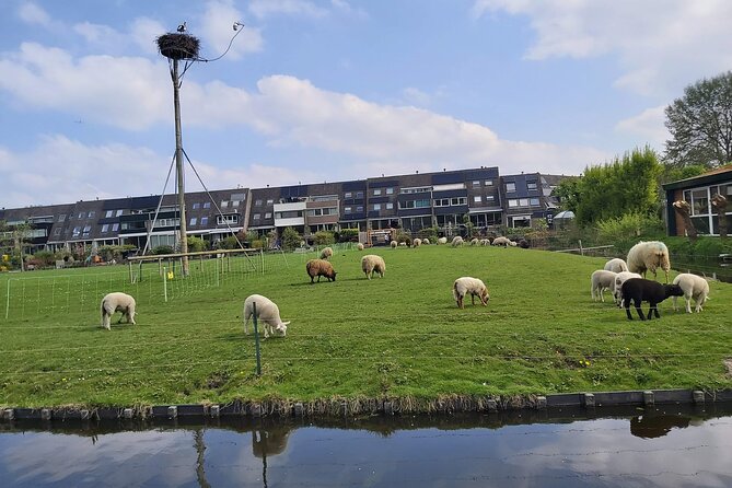 Dutch Windmills & Polder Walking Tour - Stop 3 along De Zijl: quiet neighborhoods, Dutch homes, and photo-friendly river views