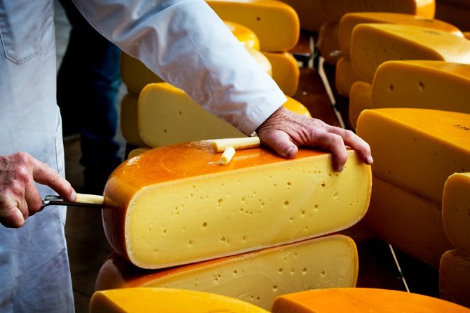 e-Scavenger hunt Gouda: Explore the city at your own pace - Red Lion Windmill, Molen De Roode Leeuw: a strong finish point