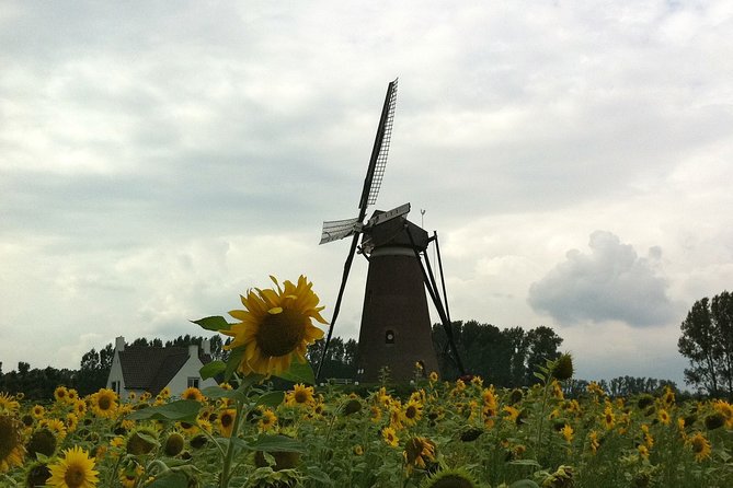Eindhoven: E-Fatbike Tour In The Footsteps of Vincent van Gogh - Van Gogh viewpoint stops in Eindhoven: churches and old-town angles