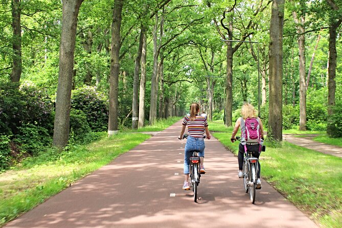 Eindhoven: Guided bicycle tour of the Highlights of Eindhoven - Bergen and Groenewoud: Bike Past the Latin Quarter and Mural Streets