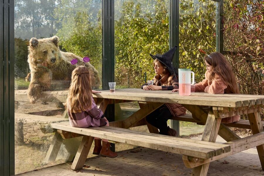 Eindhoven Zoo Entry Ticket - Birds, Sound, and the 400-Species Moment