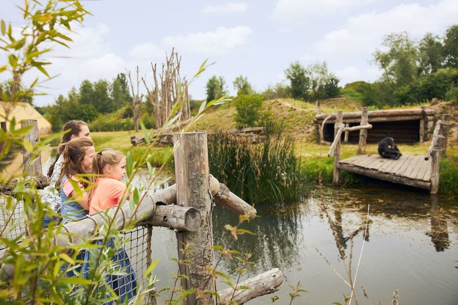 Eindhoven Zoo Entry Ticket - Small Zoo Energy, Meaning You Can Enjoy the Whole Day