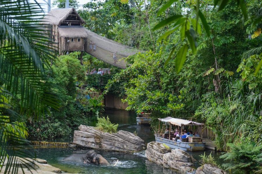 Emmen: Wildlands Adventure Zoo and Rimbula River Boat Ride - Who this fits best, and how to plan your day
