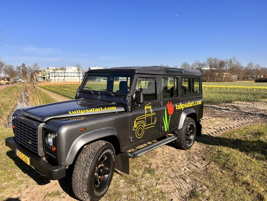 Enjoy the tulip fields in a Landrover with a local guide! - A Land Rover view of tulip fields you can feel