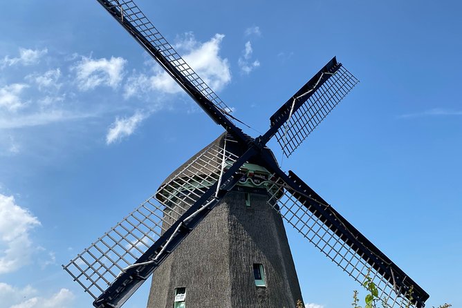 Escape Amsterdam: E-Bike to Zaanse Schans Windmills & Zaandam - The e-bike setup: 40 km that feels manageable, if you ride smart