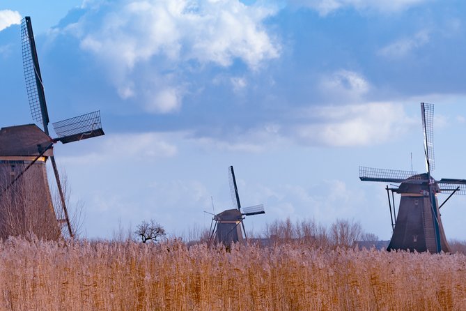 Famous Holland Tour: visit The Hague, Delft, Rotterdam and Kinderdijk from A'dam - Price and what you actually get for $144.56