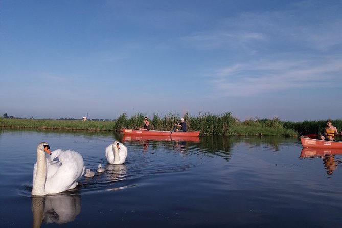 Fresh nose tour with the canoe through the nature near Amsterdam - Group Size, Comfort, and Why the Small Cap Matters