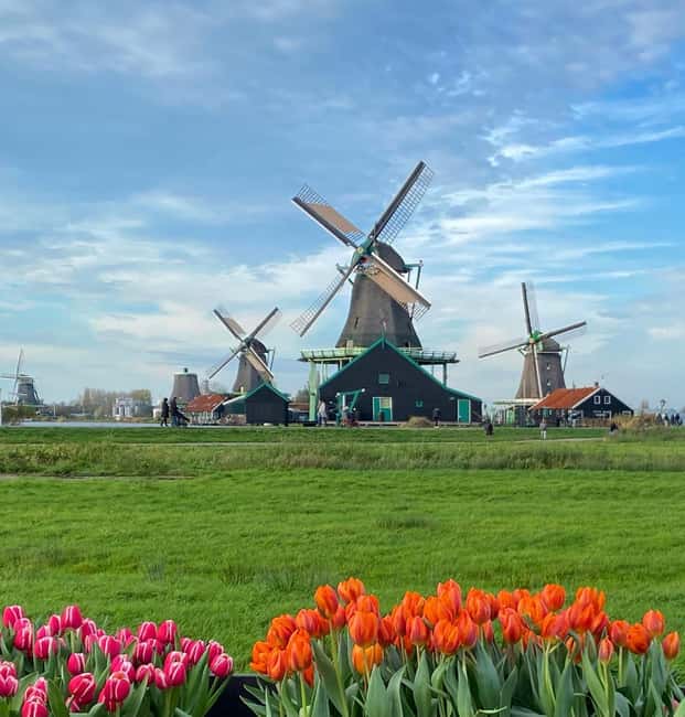 From Amsterdam; Alkmaar Cheese market & Zaanse Schans - Key things to know before you go