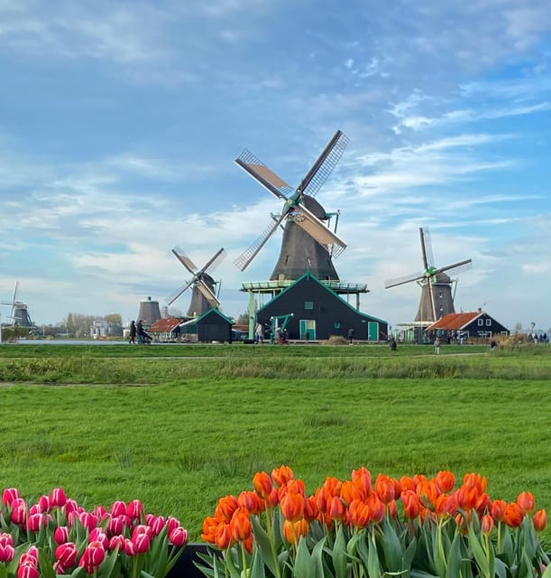 From Amsterdam; Alkmaar Cheese market & Zaanse Schans - Book it, or pass? My honest recommendation