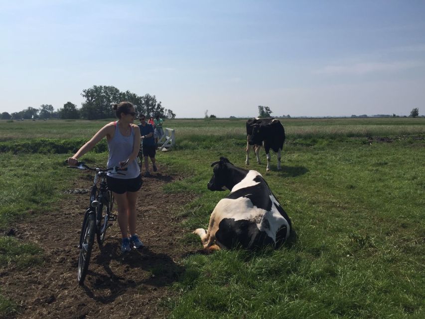 From Amsterdam: Countryside Bike Tour - The heart of the ride: dikes, embankments, and Dutch water control