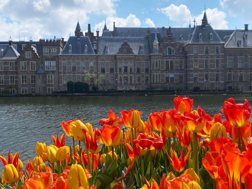 From Amsterdam: Guided Trip to Rotterdam, Delft & The Hague - Key things I’d circle before you go