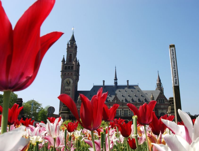 From Amsterdam: Guided Trip to Rotterdam, Delft & The Hague - From Amsterdam Central to South Holland: the day-trip rhythm