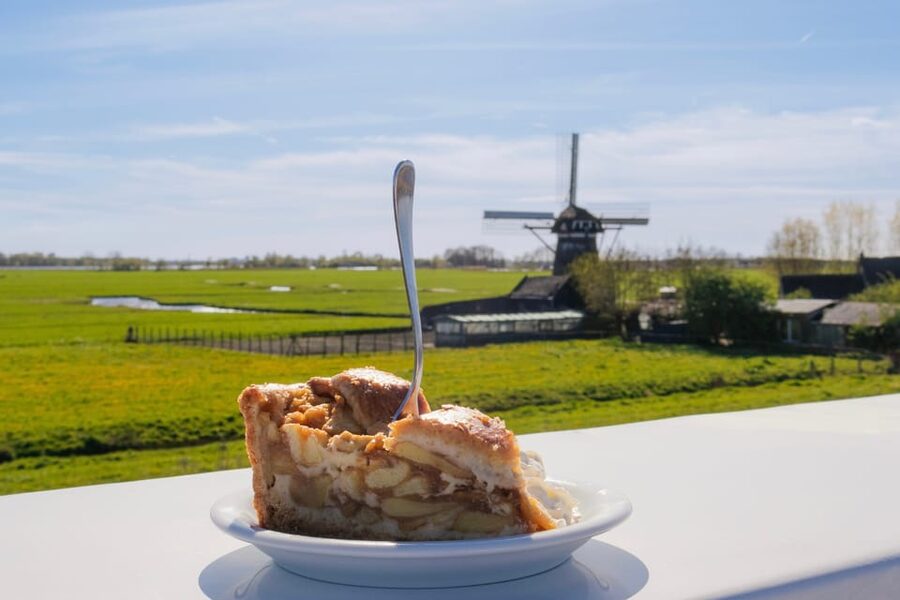 From Amsterdam: Holland Flower and Windmill Tour - summer ed - Coffee and apple pie with Anja: small break, big Dutch feel