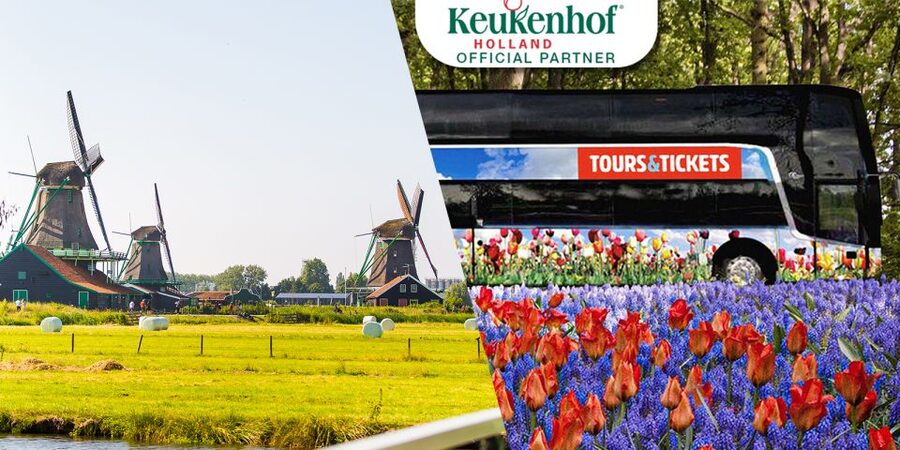 From Amsterdam: Keukenhof and Dutch Countryside Tour - Touring as a group: comfort, crowding, and pacing tips