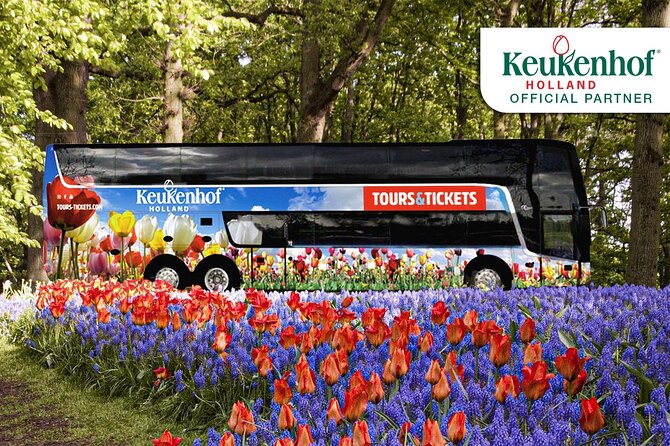 From Amsterdam: Keukenhof Gardens Ticket and Transfer - How the Amsterdam Transfer Sets You Up for Keukenhof Success