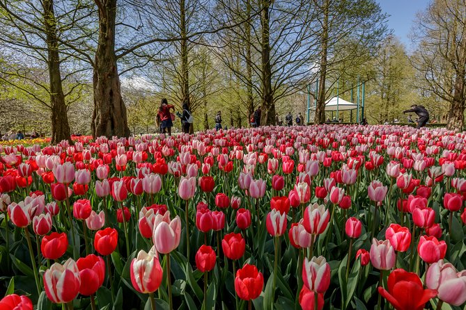 From Amsterdam: Keukenhof Gardens Ticket and Transfer - Optional Lovers Canal Cruise: A Nice Add-On If You Want More Amsterdam