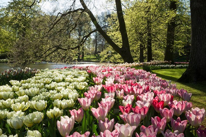 From Amsterdam: Keukenhof Gardens Ticket and Transfer - Timing and Return: The Part to Treat Like a Real Plan