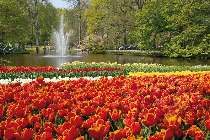 From Amsterdam: Keukenhof Gardens Ticket and Transfer - Price Value: Is This $41.51 Deal Worth It?