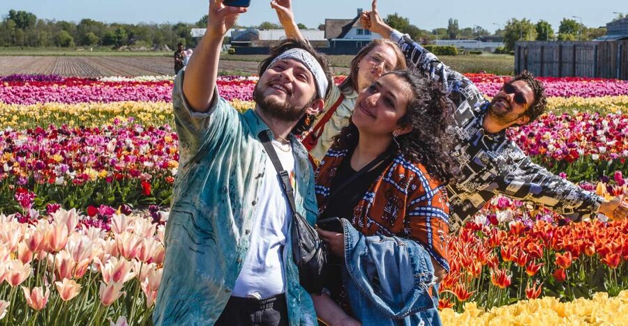From Amsterdam: Keukenhof Gardens & Tulip Experience Tour - Key things I’d circle before you book