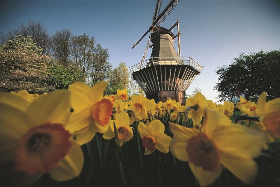 From Amsterdam: Keukenhof Gardens & Tulip Experience Tour - FAQ