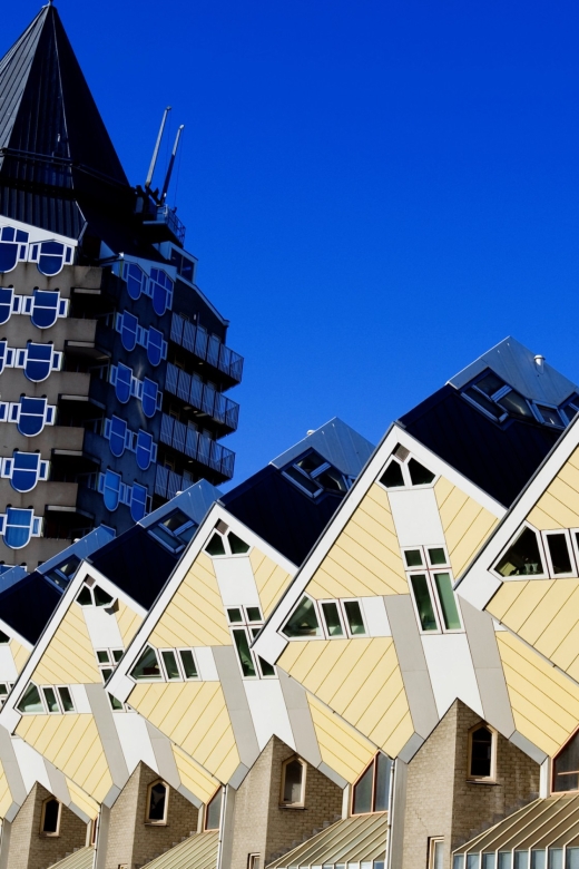 From Amsterdam: Rotterdam and The Hague Tour in Spanish - Key highlights you should care about