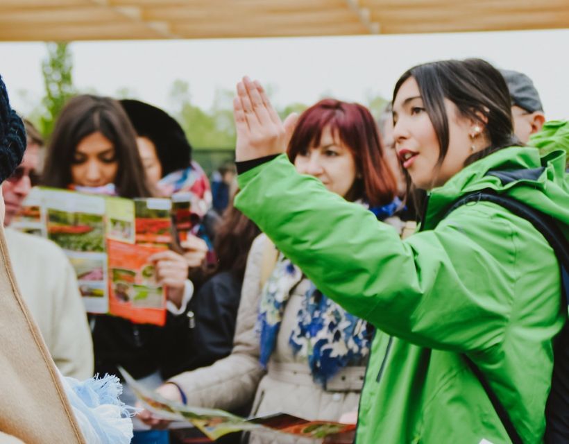 From Amsterdam: Rotterdam and The Hague Tour in Spanish - Meeting point, timing, and how you find your group fast