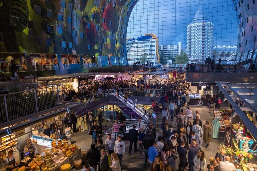 From Amsterdam: Rotterdam to The Hague and Delft - Guides, Styles, and What You Can Expect From the Human Side