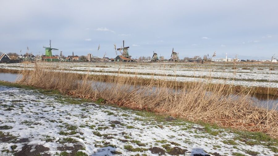 From Amsterdam: Small Group Zaanse Schans and Volendam Tour - Pickup to the 9-seater van: small group, big difference
