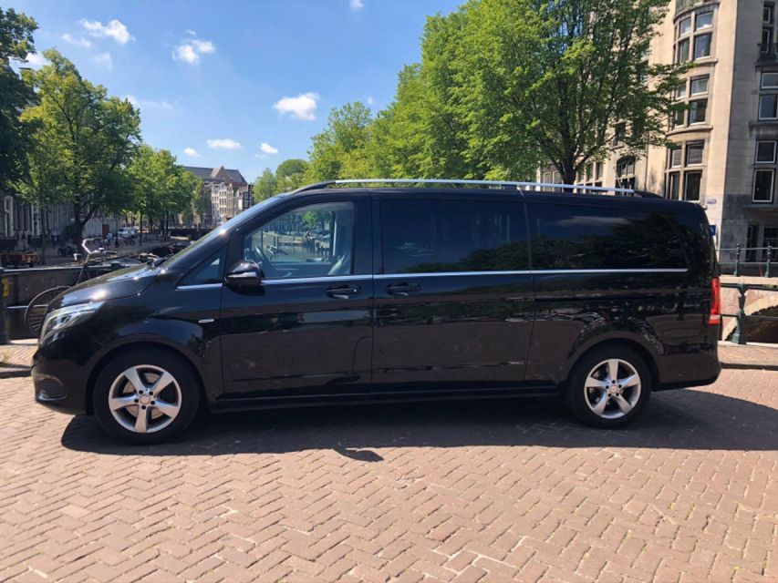 From Amsterdam: The Hague Private Trip and Mauritshuis Entry - What to expect from the driver, including the Peter factor