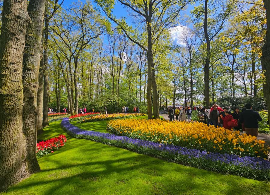 From Amsterdam: Tulip Tour Keukenhof & City Tour Delft - Keukenhof Break Time For Lunch And Shopping, Without Meal Pressure