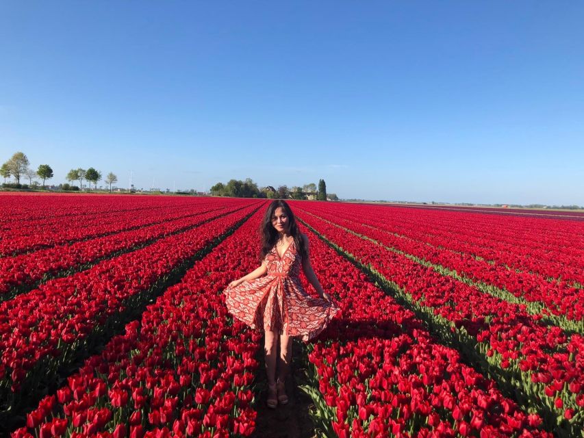 From Amsterdam: Tulip Tour Keukenhof & City Tour Delft - Getting There, Timing, And The Real Walking Load