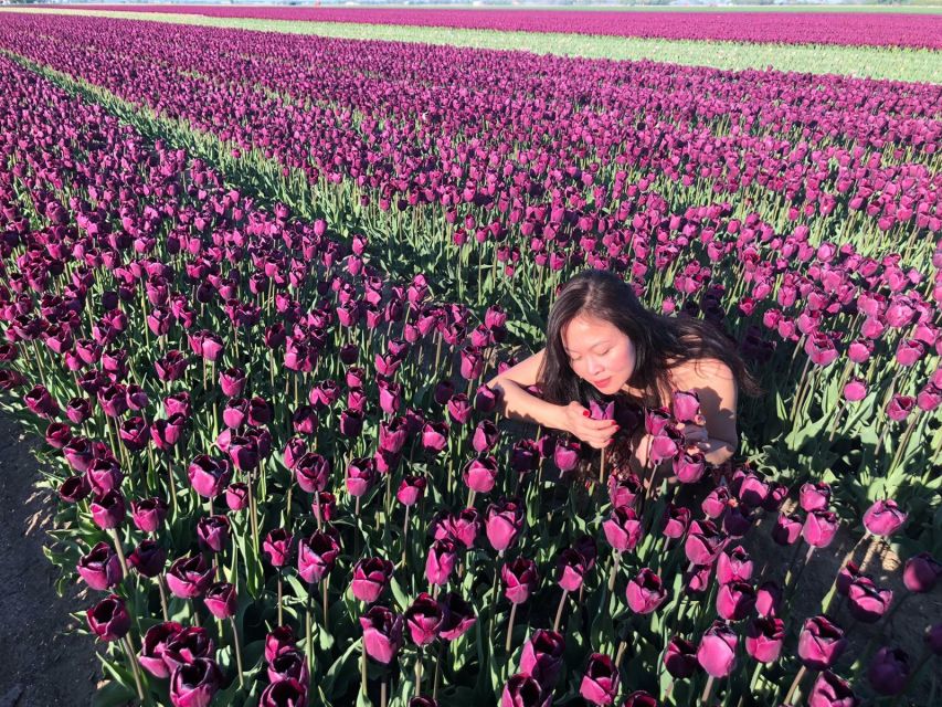From Amsterdam: Tulip Tour Keukenhof & City Tour Delft - Price And Value: What $169 Buys You (And What It Doesn’t)