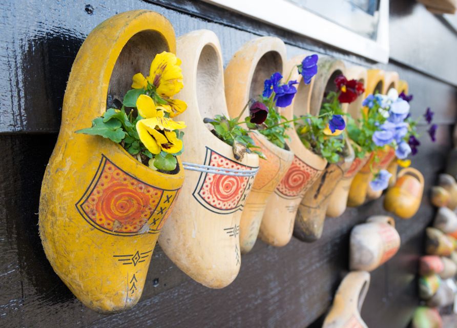 From Amsterdam: Windmills of Zaanse Schans Tour - Key things to know before you go