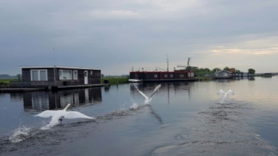 From Katwijk: Kaag Lakes Cruise - Key highlights worth planning around