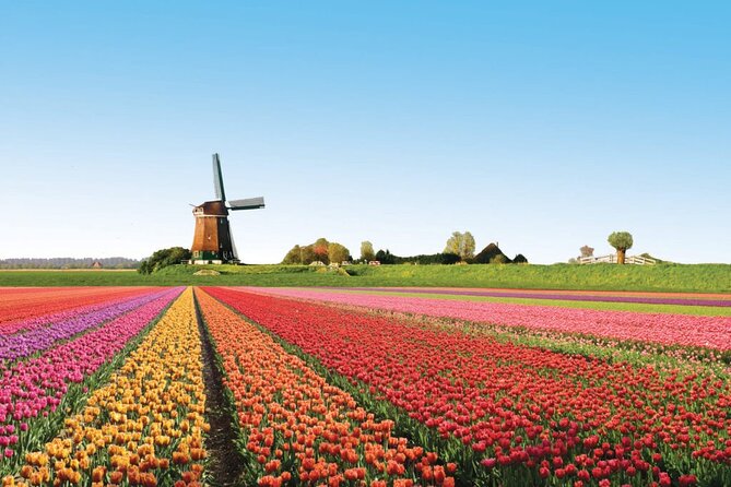 Full-Day Skip the Line Keukenhof and Canal Cruise from Amsterdam - Getting to Keukenhof: the bus transfer part that saves your sanity