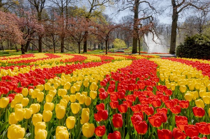 Full-Day Skip the Line Keukenhof and Canal Cruise from Amsterdam - Your seven hours in the gardens: how to pace it like a local