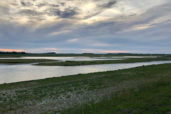 Full day tour to Texel - Friesian Islands - from Amsterdam - Wadden Sea Boat and Bus Time, Plus the Wildlife Angle