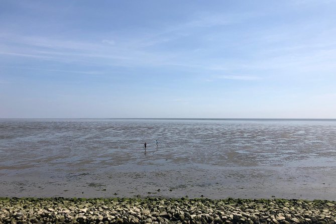 Full day tour to Texel - Friesian Islands - from Amsterdam - Optional Seal Safari on the Wadden Sea (35 Euros)