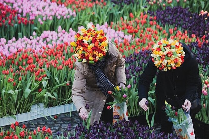Full-Day Trip From Amsterdam to Keukenhof, Zaanse Schans + Cruise - Catharina Hoeve cheese farm: tasting, learning, and buying with confidence