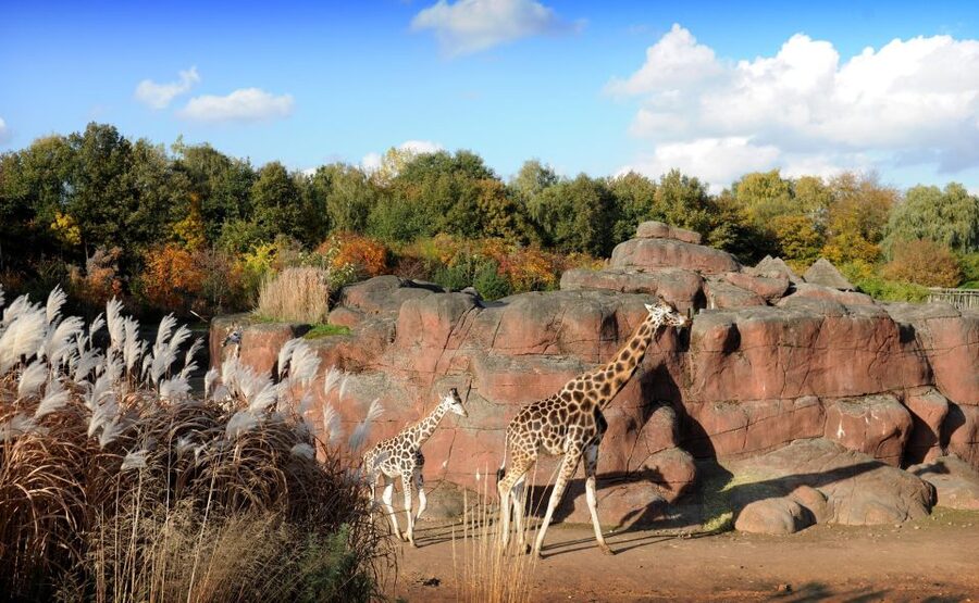 GaiaZOO Entry Ticket - Key things to know before you go